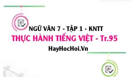 Soạn bài Thực hành tiếng Việt trang 95 Ngữ văn lớp 7 Kết nối tri thức tập 1